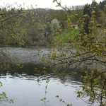 heimbach_07
