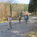 narzissen_03