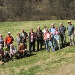 narzissen_10