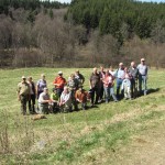 narzissen_11