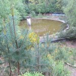 Mechernich_23