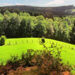 Krombacher_783