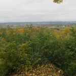 herbstwanderung2015_02
