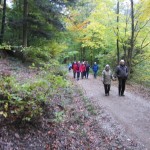 herbstwanderung2015_08