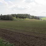 frühjahrswanderung 2016_05