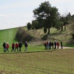 frühjahrswanderung 2016_09