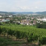 trier 2016_01